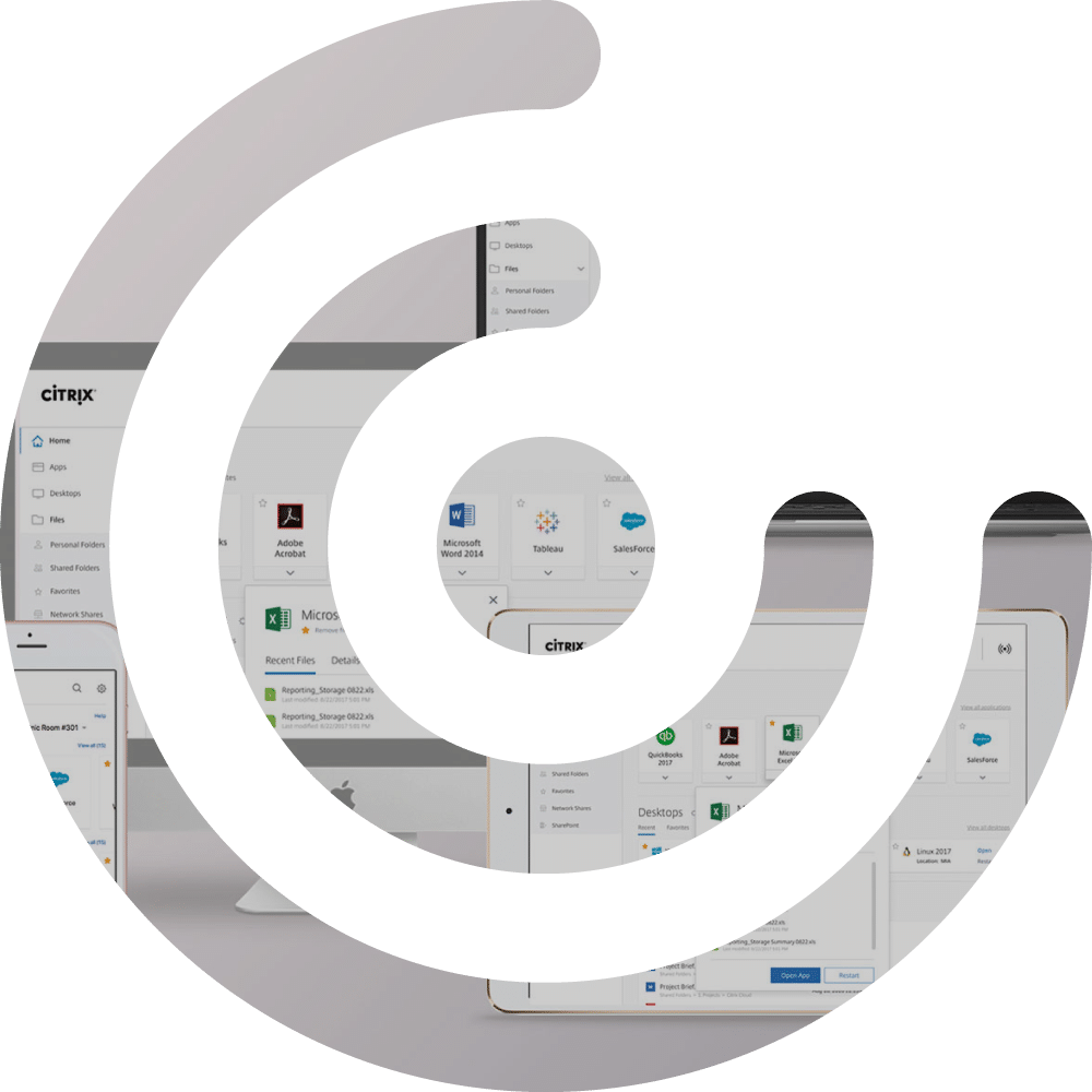 Icon XL of K-net partner, Citrix