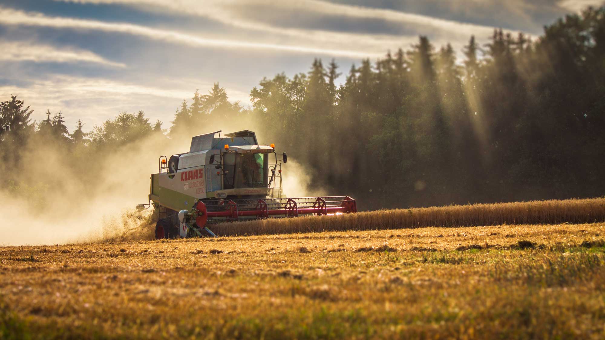 A tractor in a field with sunlight